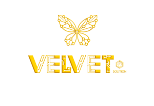 Velvet IT Solution